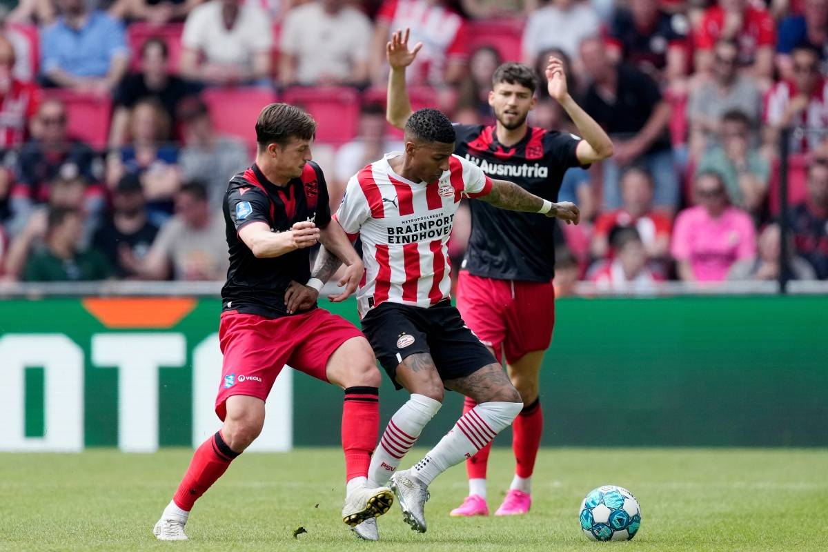 似的潜力 似的潜力