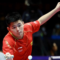 以其敏捷的 以其敏捷的