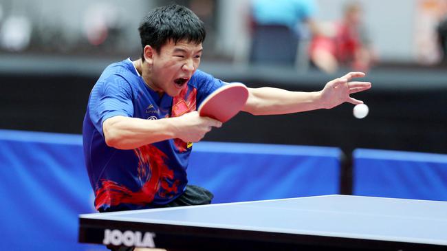 其他年轻成 其他年轻成